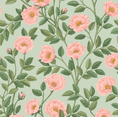 Rose & Leaf Green on Duck Egg