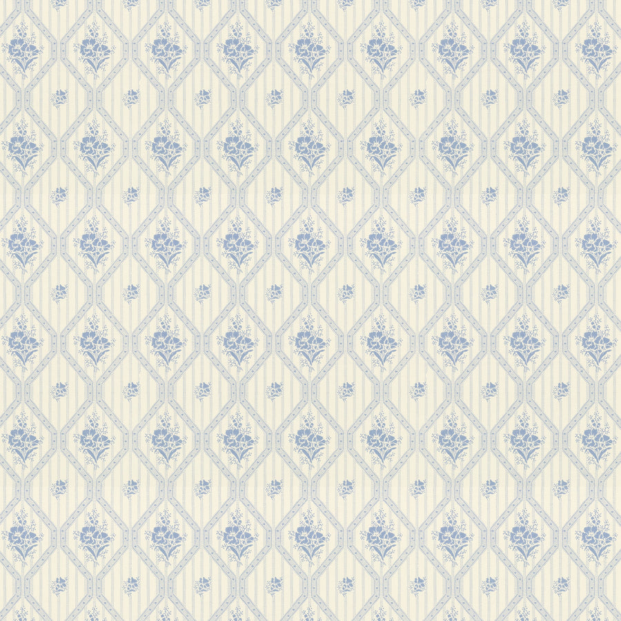 White/Blue K11-41