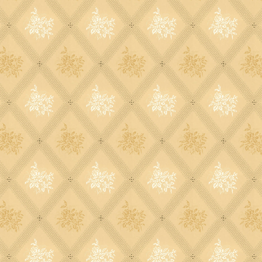 Light Yellow/Yellow K12-50
