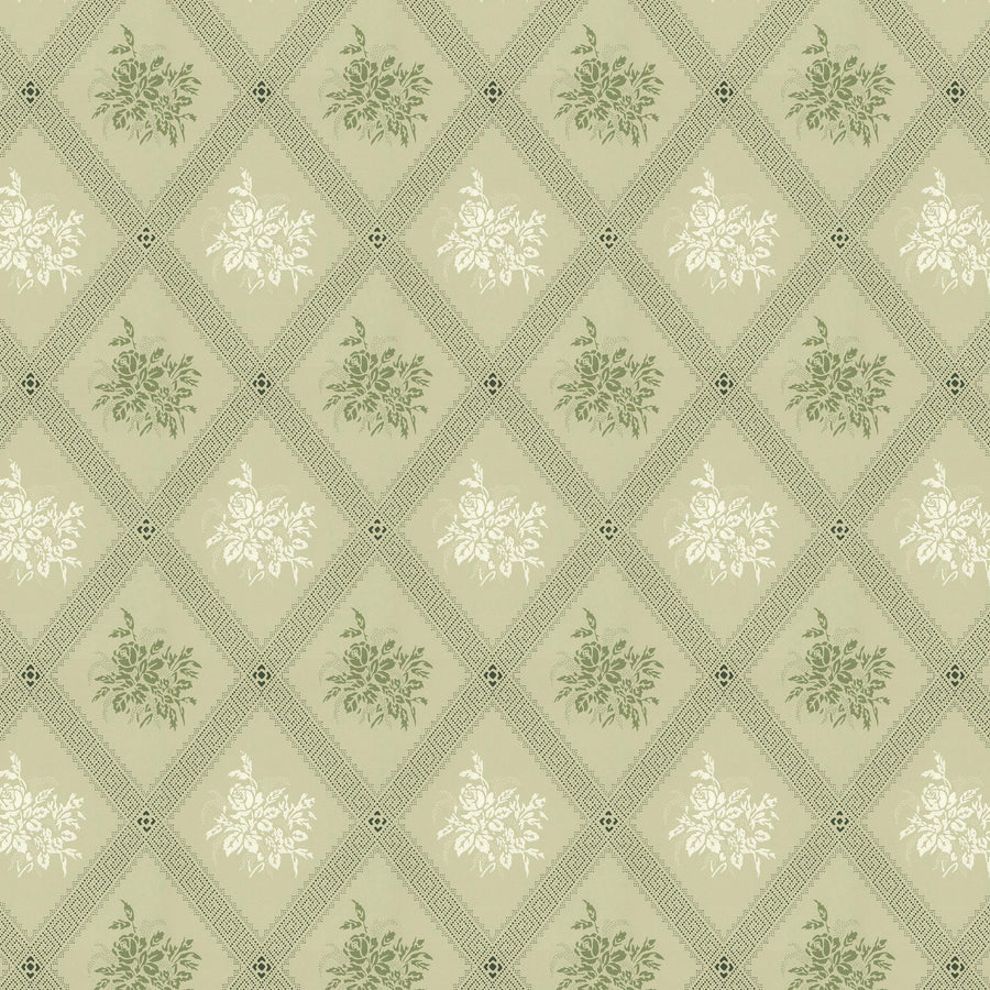 Light Green/Green K12-54