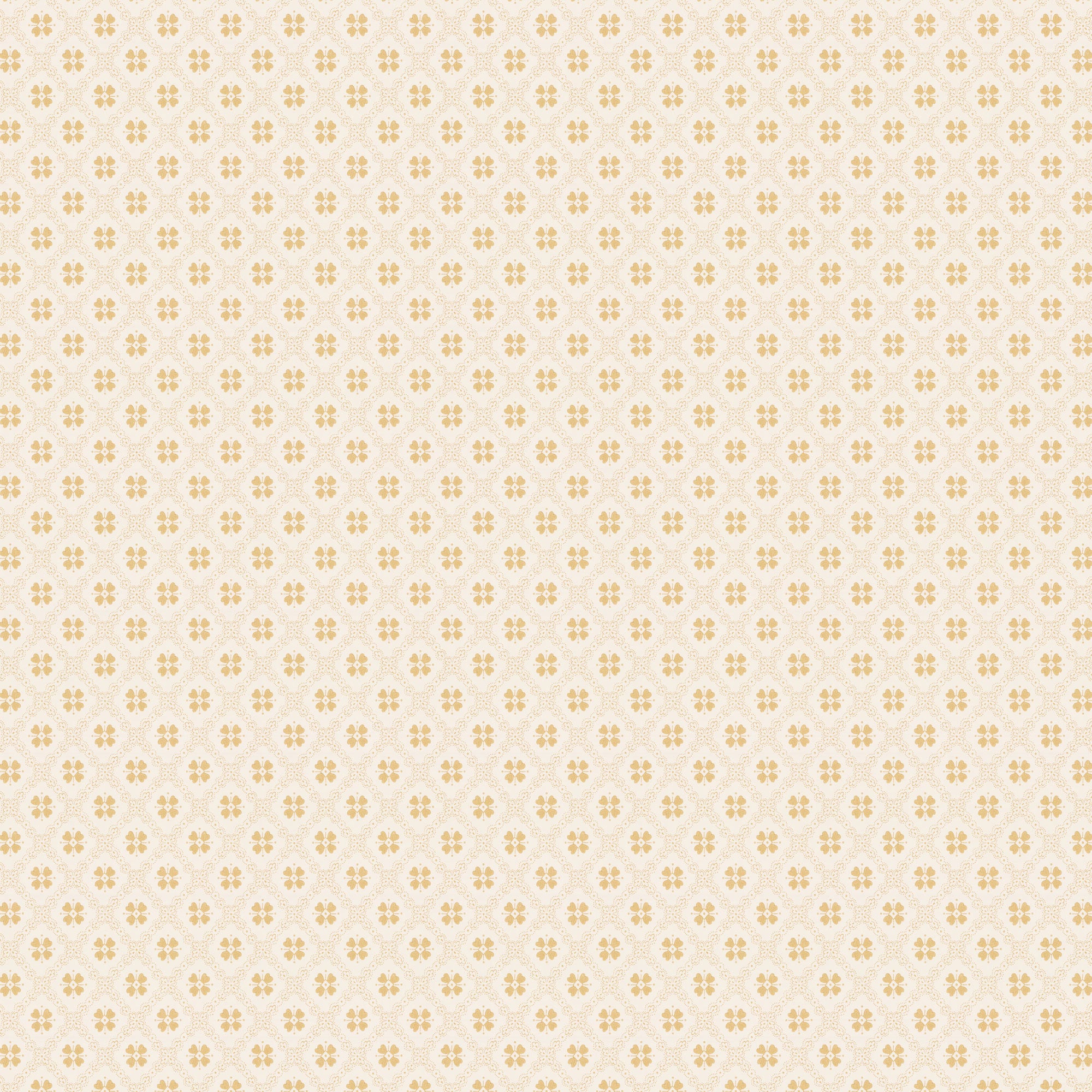 White/Yellow K23-50