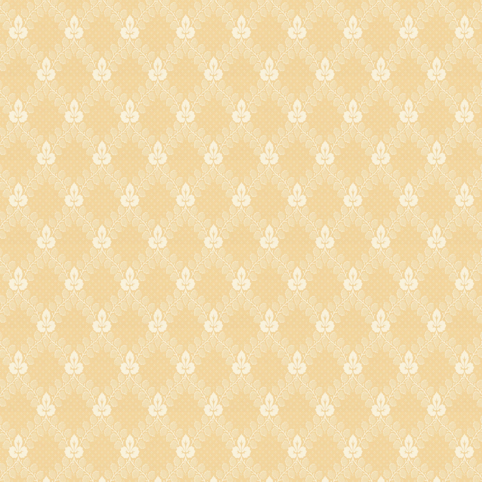 Yellow/White K24-50