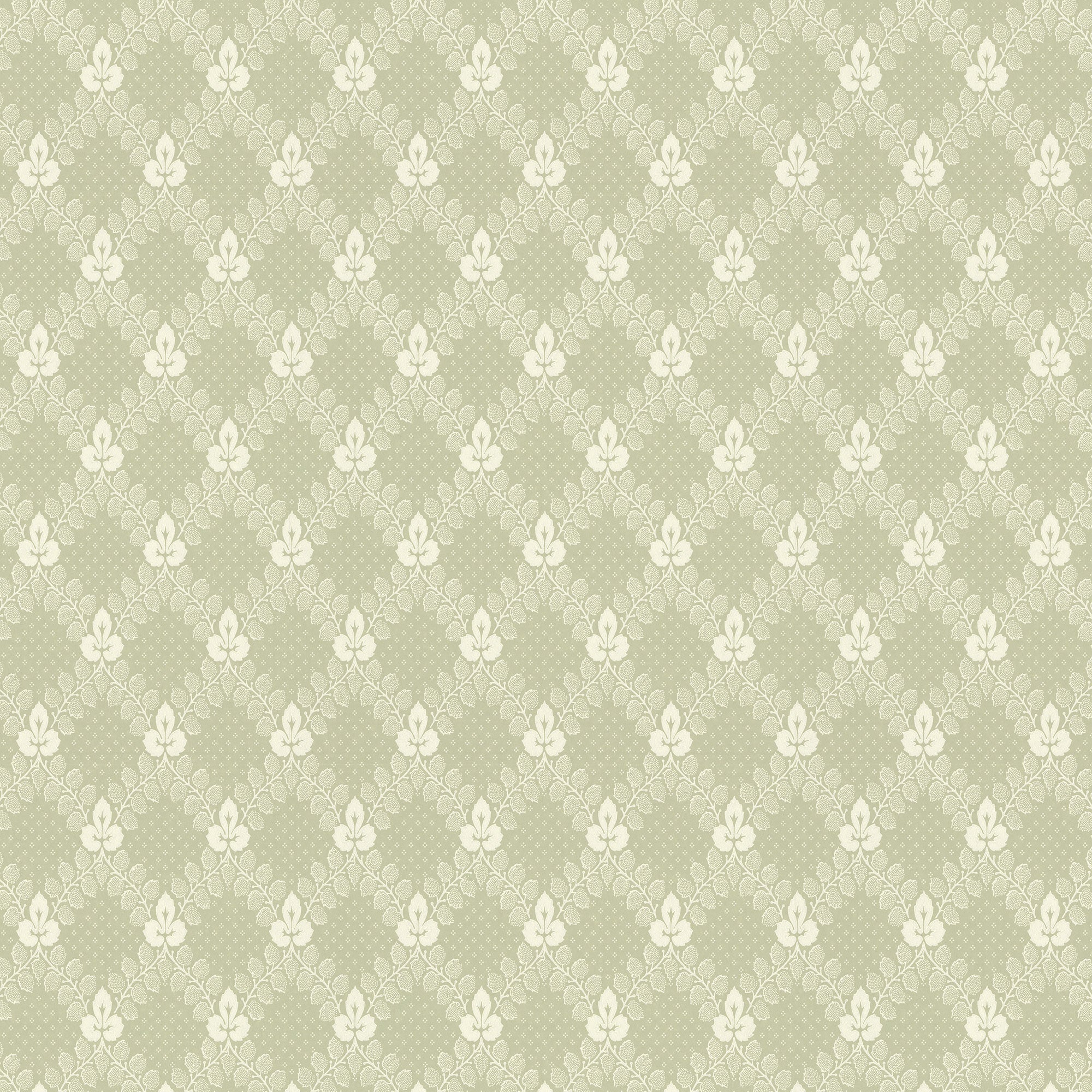 Green/White K24-56