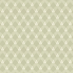 Green/White K24-56