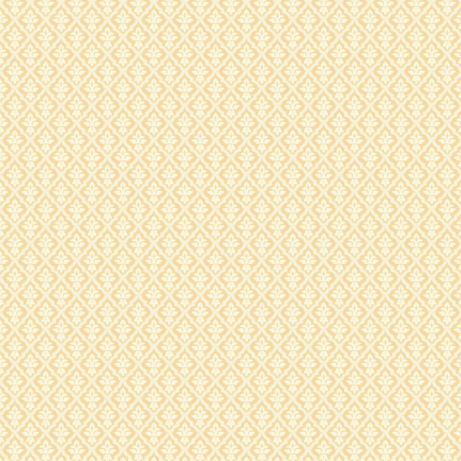 White/Yellow K26-51