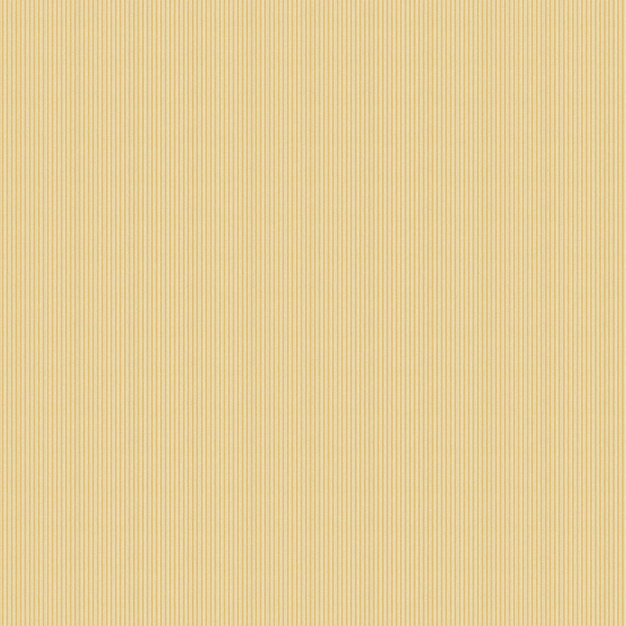 White/Yellow K27-50