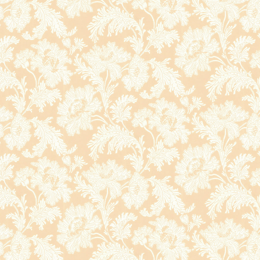 White/Yellow K29-50