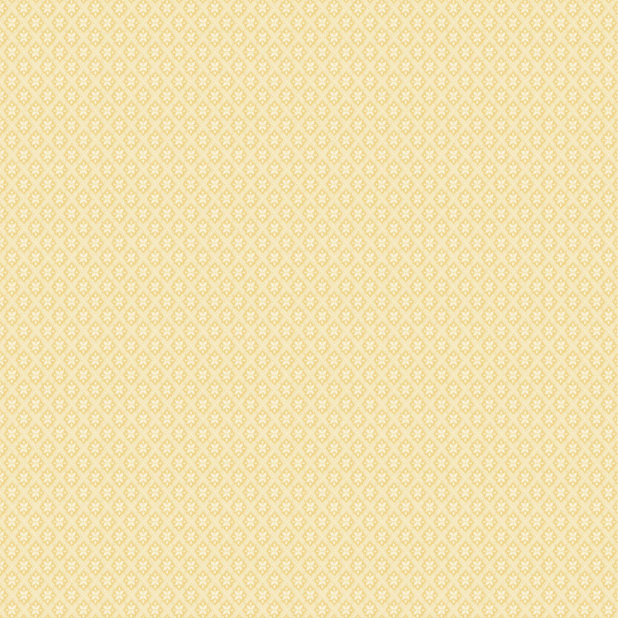 White/Yellow K30-51