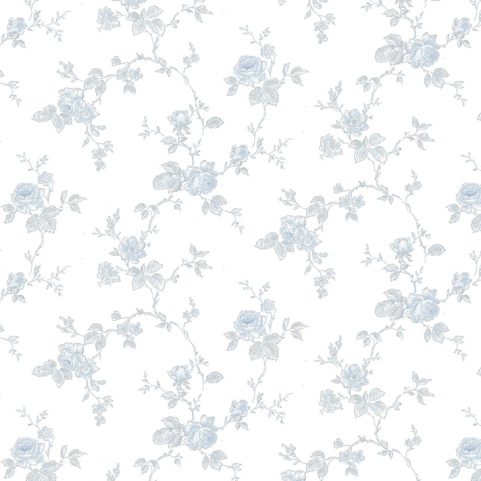 White/Blue K43-41