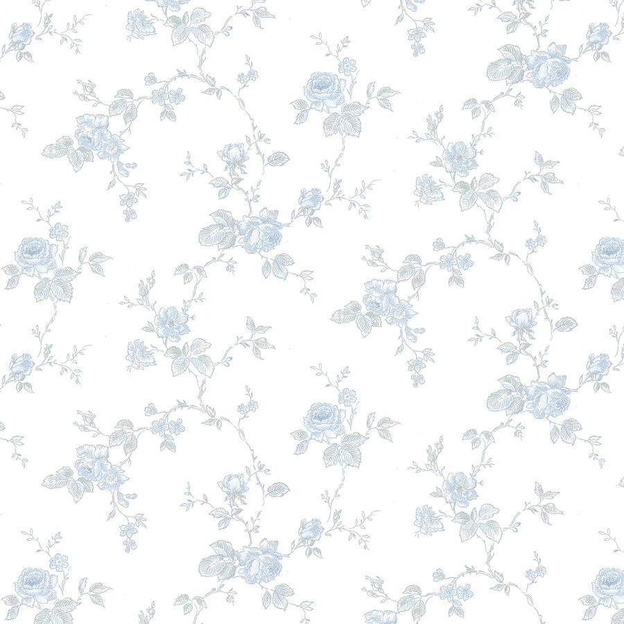 White/Blue K43-41