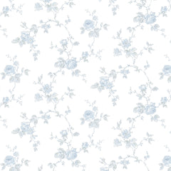White/Blue K43-41