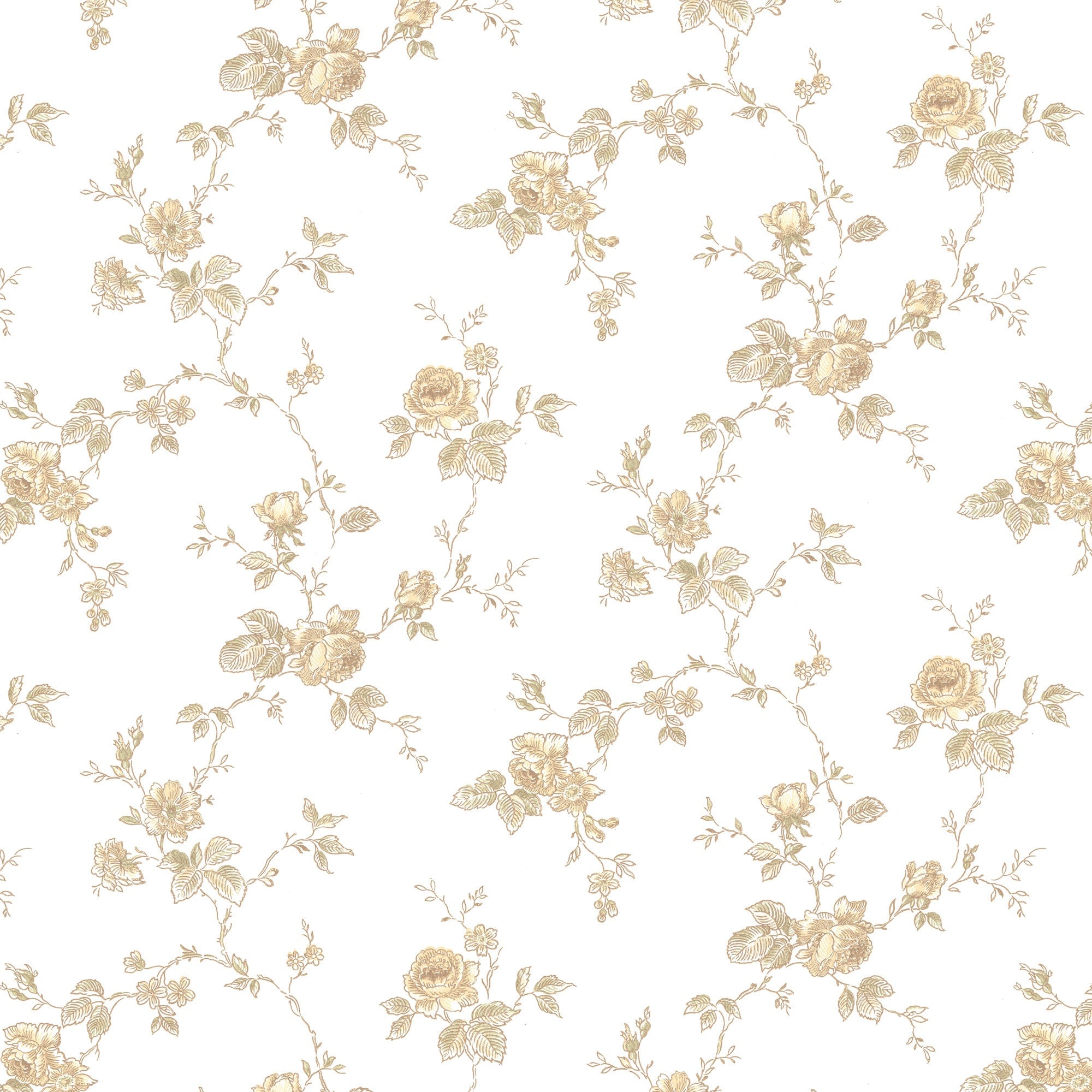 White/Yellow K-43-50
