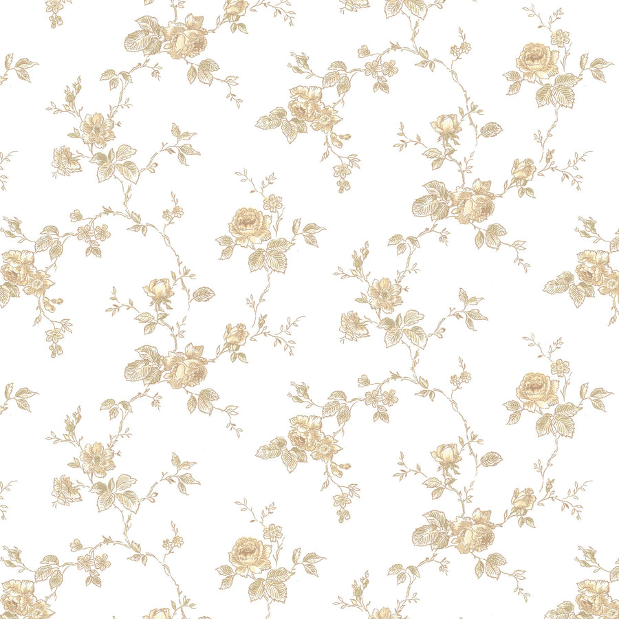 White/Yellow K-43-50