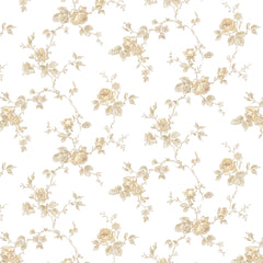 White/Yellow K-43-50