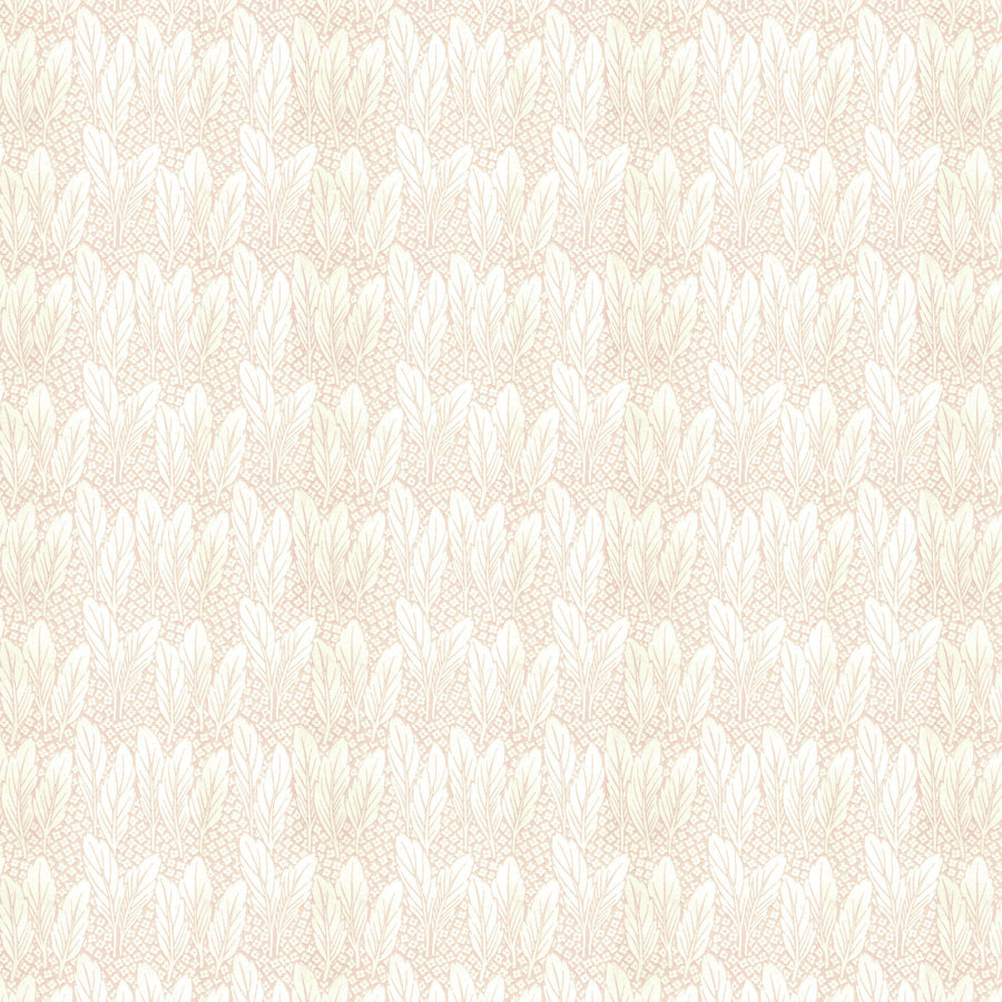 White/Champagne K50-91