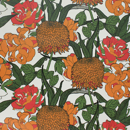 Orange Flowers on White