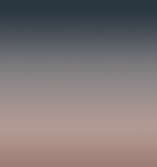 WPLC0545