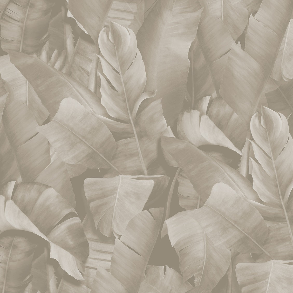 Lemon_Wallcovering_Design_PlantLife_Botany2_WPLC0528.jpg