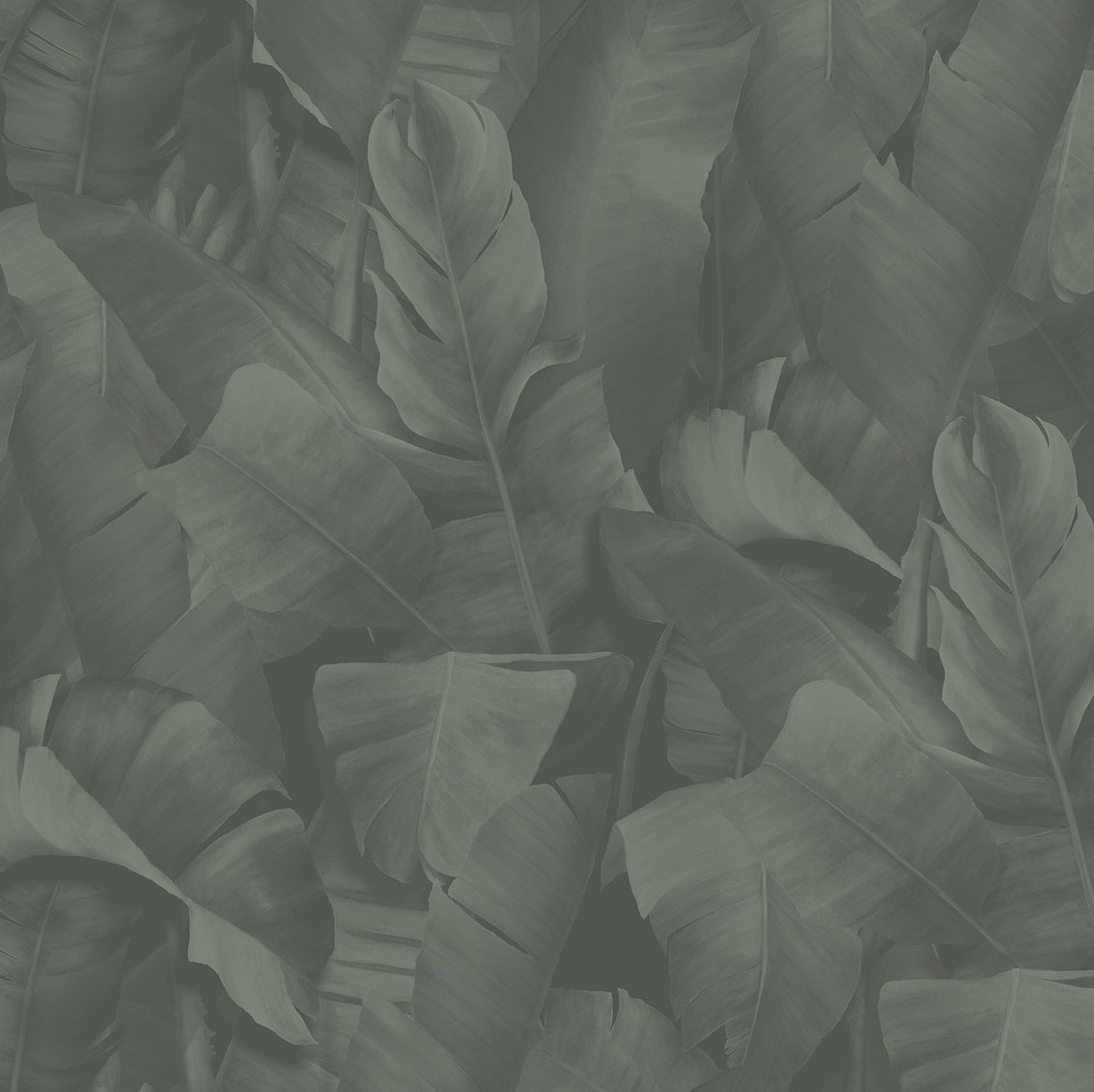 Lemon_Wallcovering_Design_PlantLife_Botany2_WPLC0529.jpg
