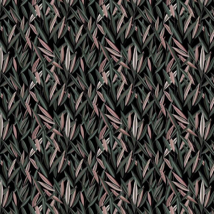 WPLC0424