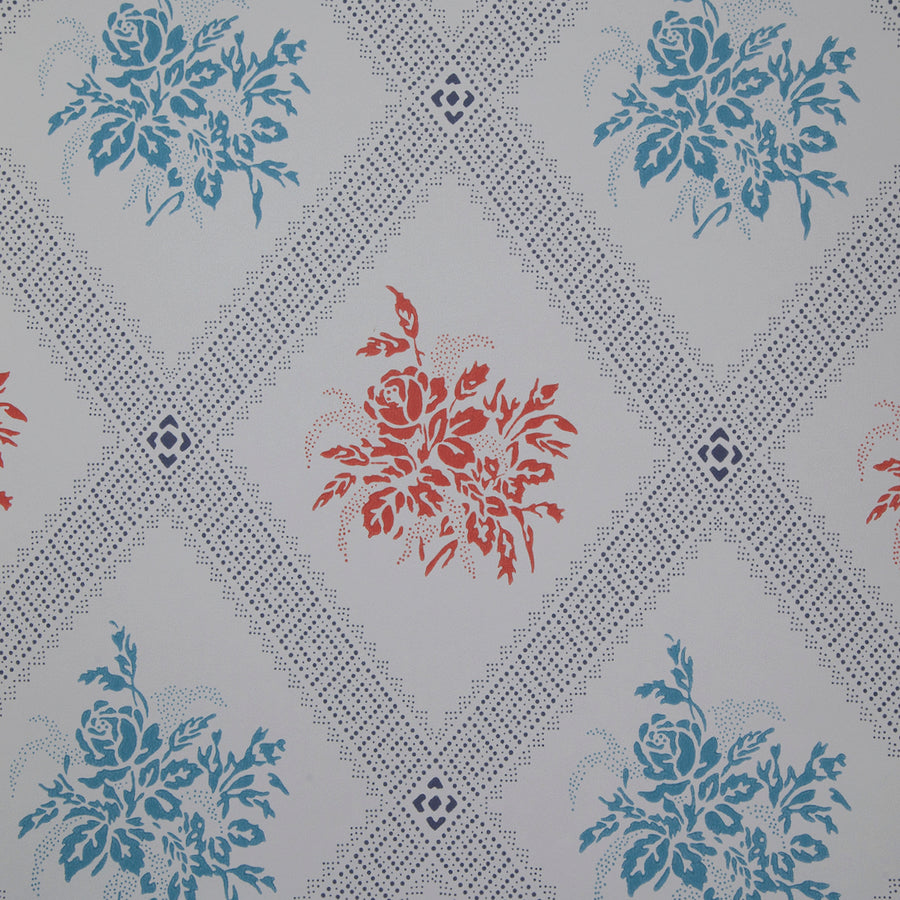 Light Blue/Red K12-30
