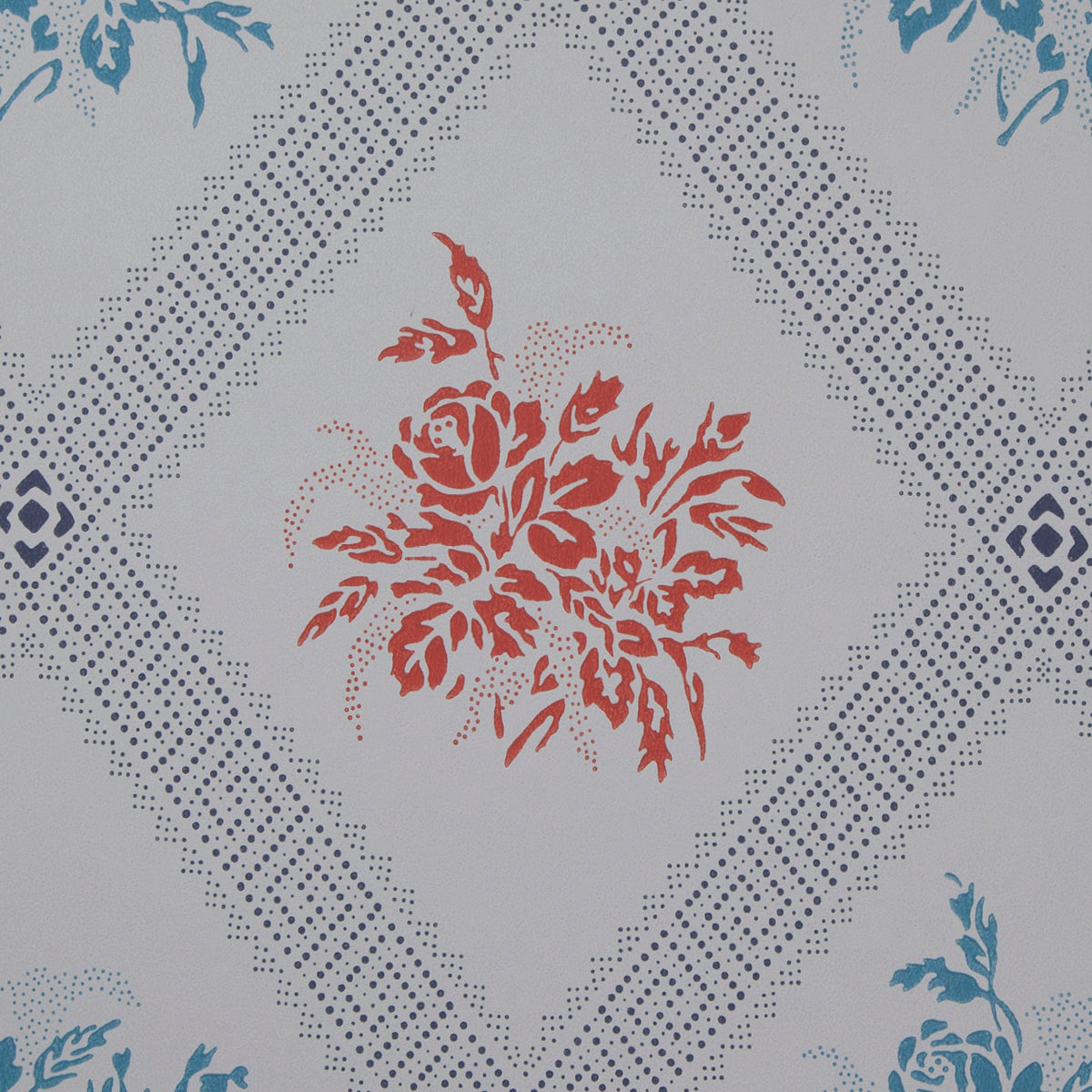 Light Blue/Red K12-30