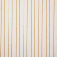 Grey/Yellow K44-50