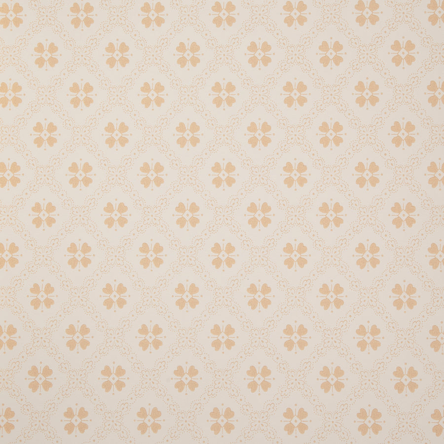 White/Yellow K23-50
