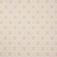White/Yellow K23-50