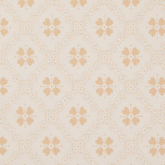 White/Yellow K23-50