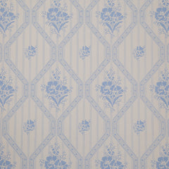 White/Blue K11-41