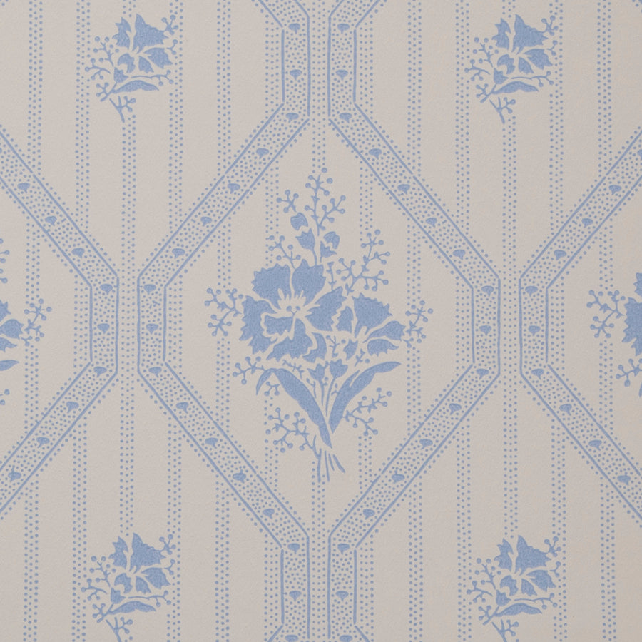 White/Blue K11-41