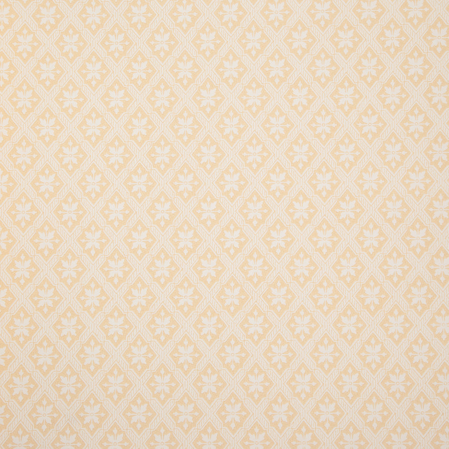 White/Yellow K30-51