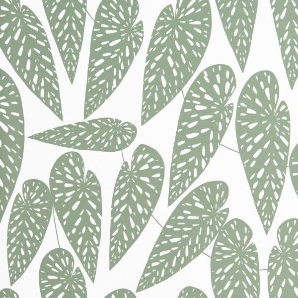 Foliage