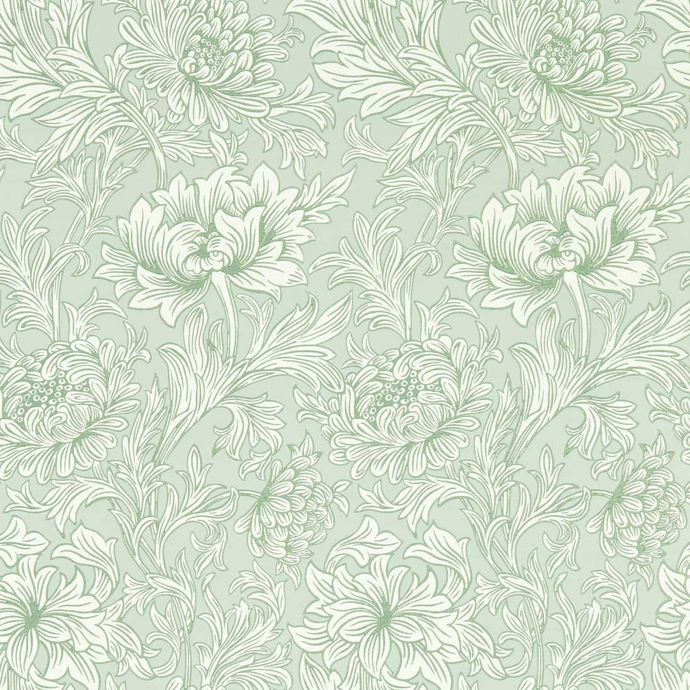 Chrysanthemum Toile