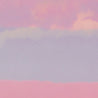 Pink/Peach/Lilac & Charcoal Tones