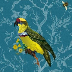 Multicolored Birds on Teal