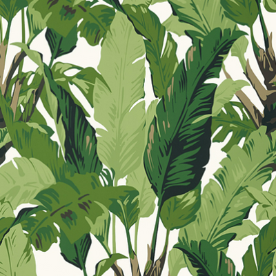 Travelers Palm – Walnut Wallpaper