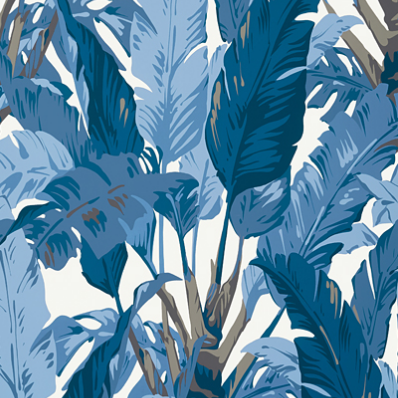 Navy and White