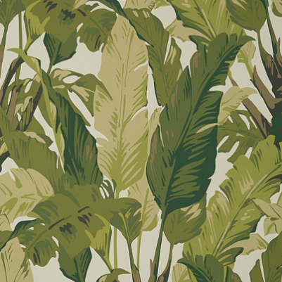Sage