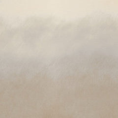 Wisp