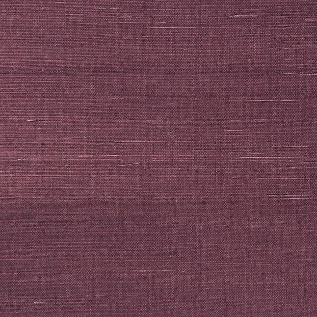 Aubergine