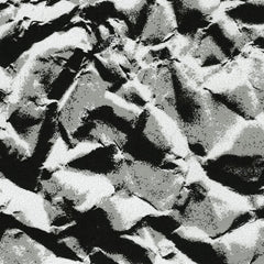 Black/Silver