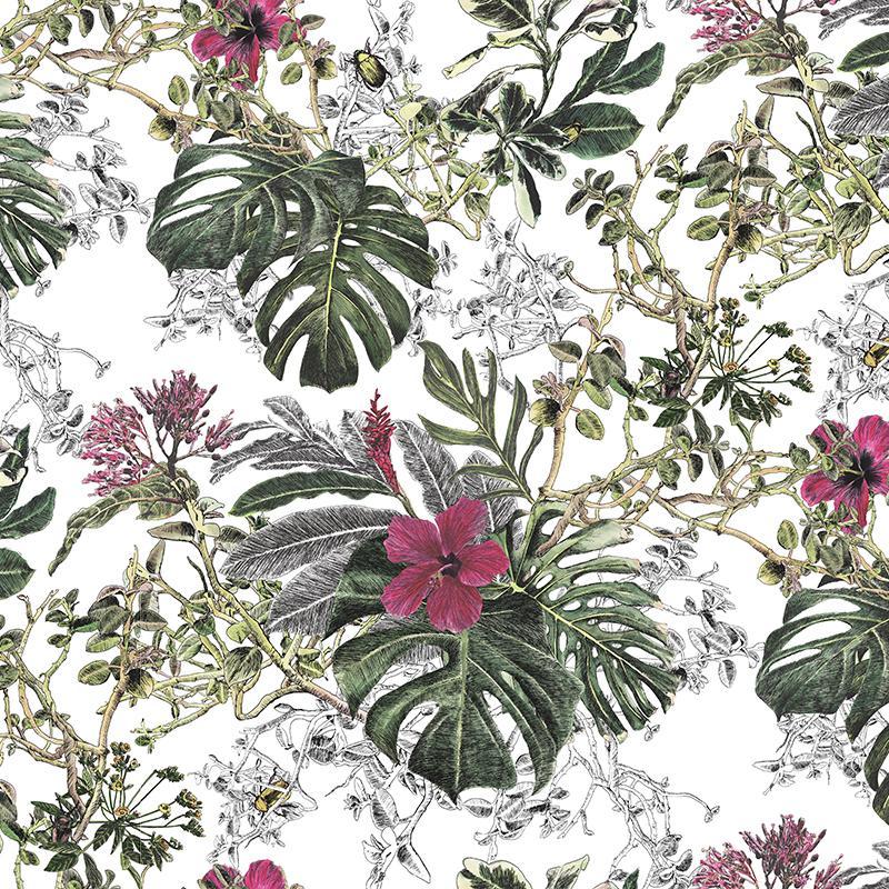 Summer Tropical Bloom