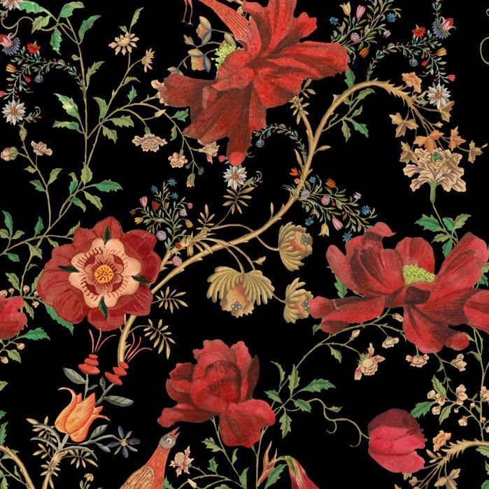 Transsilvaniae Florilegium