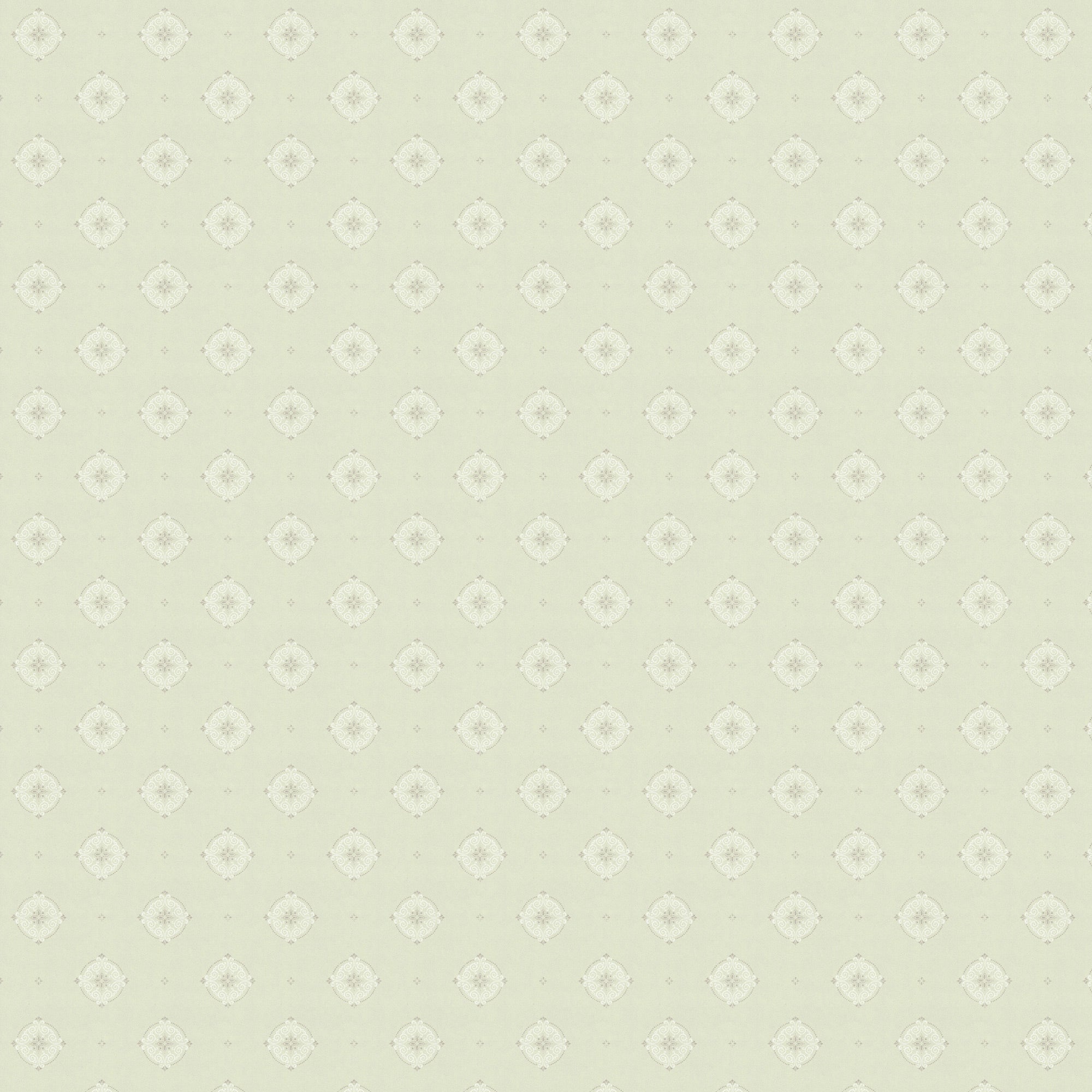 Light Green/Silver X108-56