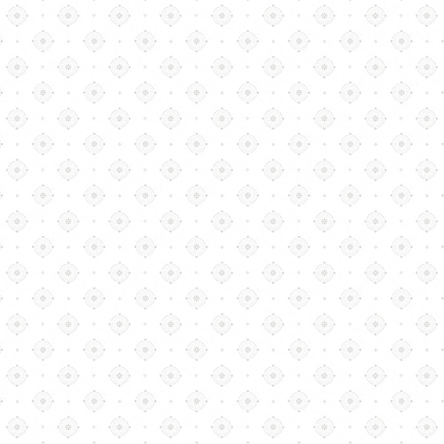 White/Silver X108-10
