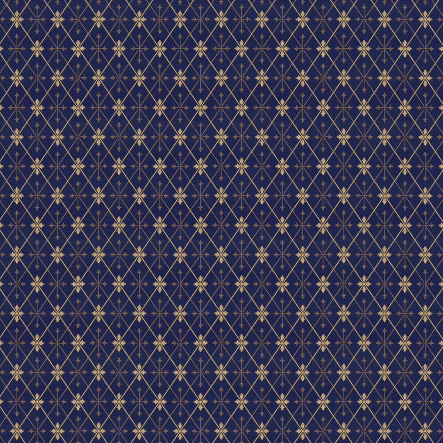 Blue/Gold X111-42