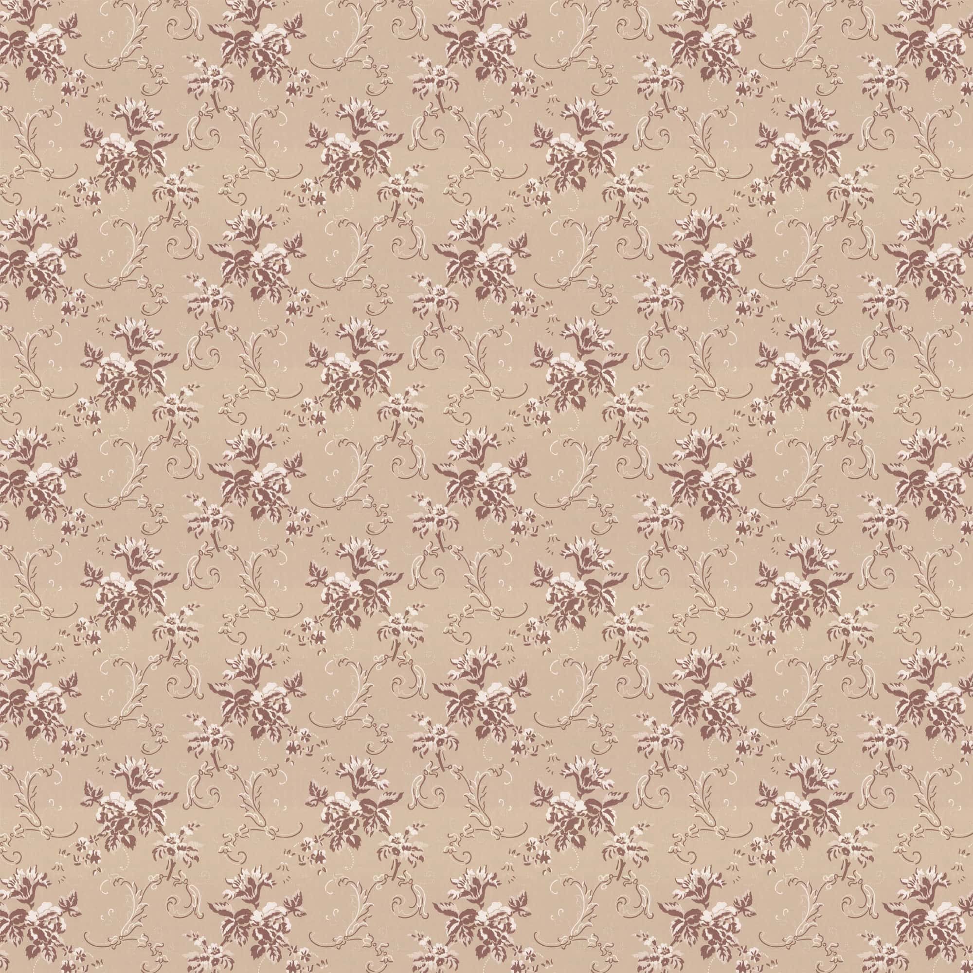 Beige/Champagne X112-91