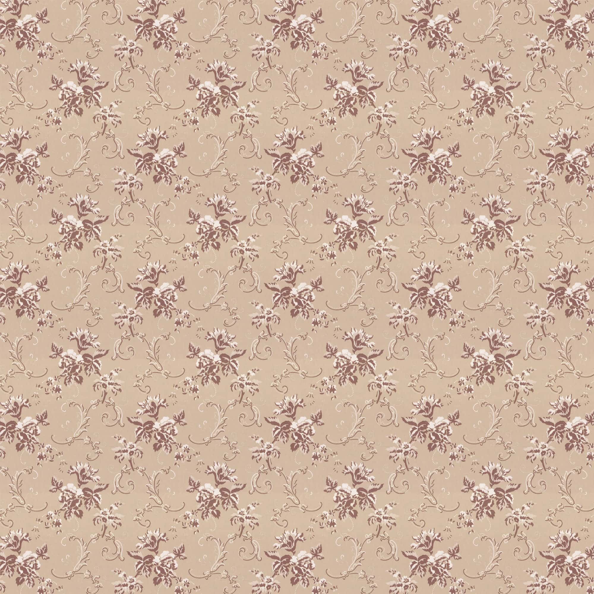 Beige/Champagne X112-91